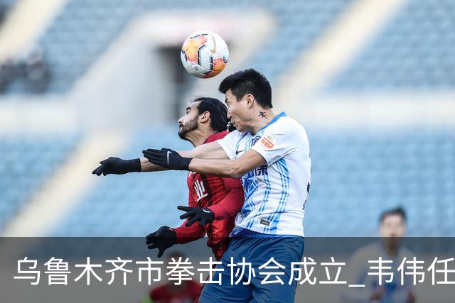 乌鲁木齐市拳击协会成立 韦伟任会长